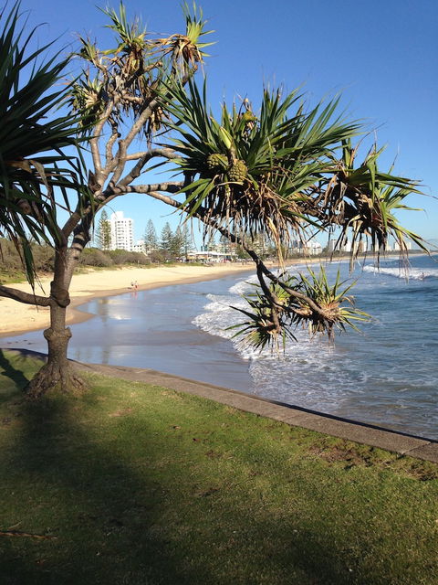 Grand Palais Beachside Resort - Kawana Tourism 3
