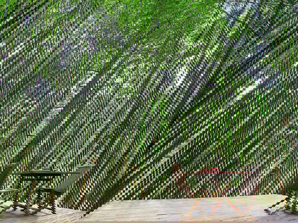 Skinners Shoot NSW Kawana Tourism