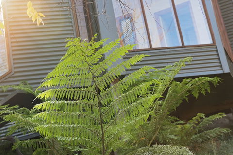 Cladich Pavilions - Kawana Tourism 1