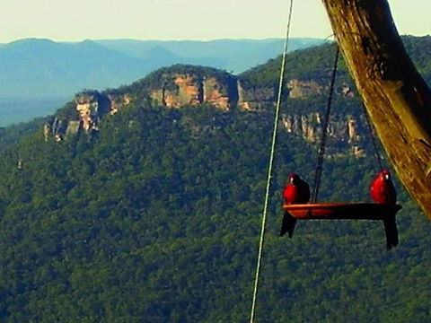 Valley Of The Waters B&B - Kawana Tourism 3
