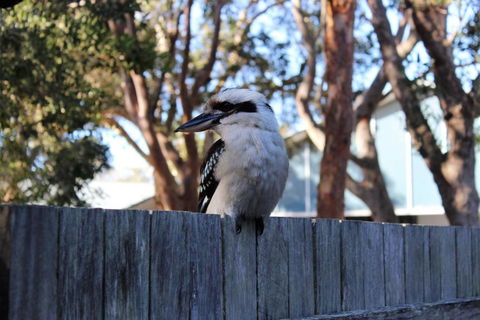 POINT BREAK WEEKLY ONLY - Kawana Tourism 2
