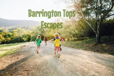 Grand View Holiday Home - Kawana Tourism 2