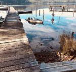 Salt Box Hideaway - Kawana Tourism