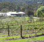 Eureka Farm - Kawana Tourism