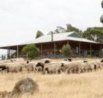 Gilgraves Vineyard Farmstay - Kawana Tourism