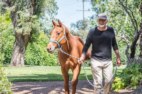 Russley Rural Retreat - Kawana Tourism 3