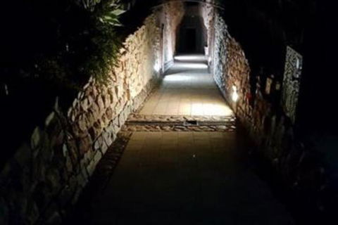 Zen Underground B & B - Kawana Tourism 2