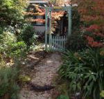 Lemon Tree Cottage - Kawana Tourism
