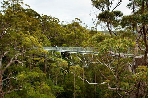 Riverside Retreat Chalets Walpole - Kawana Tourism 5
