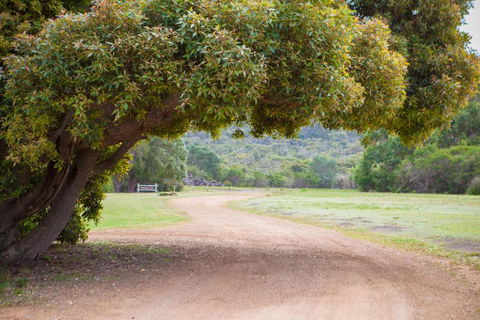 Riverside Retreat Chalets Walpole - Kawana Tourism 4