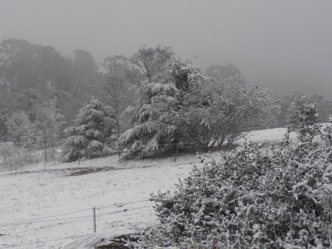 Springmead Rustic Cabin - Kawana Tourism 6