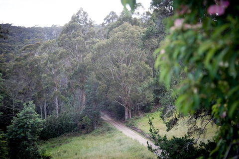 The Pear Cottage - Kawana Tourism 4