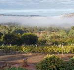 Pecan Hill BNB - Kawana Tourism
