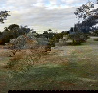 Young Budget Accommodation - Kawana Tourism