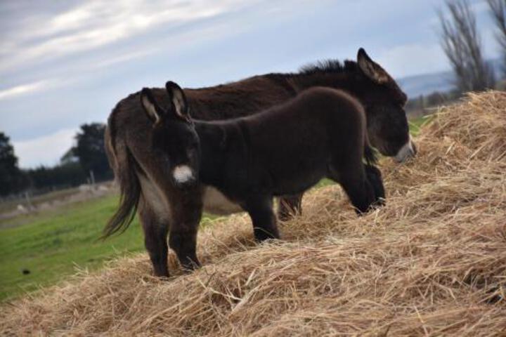 Miners Rest VIC Kawana Tourism