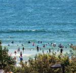Pacific Towers Unit 4 19 Ormonde Tce Kings Beach - Kawana Tourism