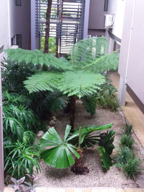 Jackies Studio Apartment - Kawana Tourism 5