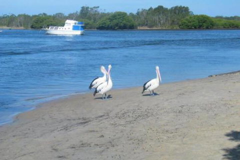 Views To Yaccaba Headland - Kawana Tourism 7