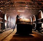 Pieter van Gent Winery  Vineyard - Kawana Tourism