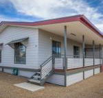 Desert Pea - Kawana Tourism