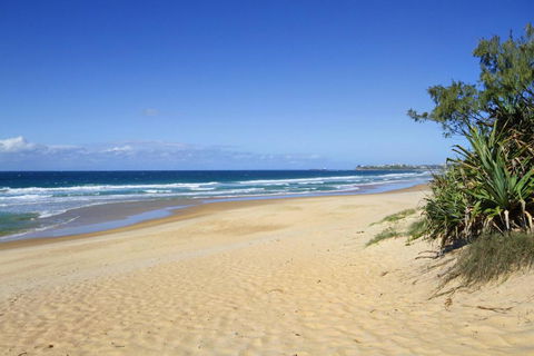 Ivy Street 7 Dicky Beach - Kawana Tourism 5