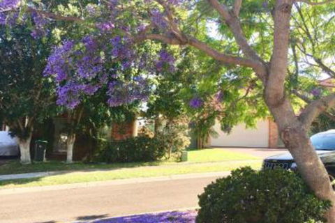 ULTRA SPACIOUS STYLISH HOME In PRESTONS SYDNEY - Kawana Tourism 7