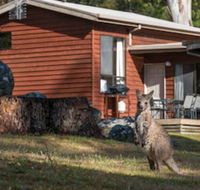 Wonderland Cottages - Kawana Tourism