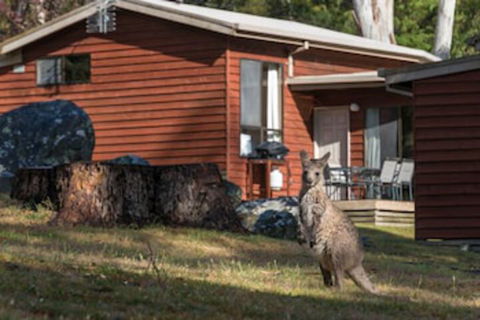 Wonderland Cottages - Kawana Tourism 0