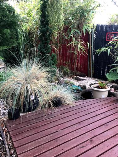 Coastal Garden Shack - Kawana Tourism 3