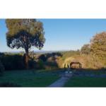 Ripplebrook Cottage - Kawana Tourism 0