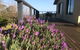 Maleny Mountain Retreat - thumb 2