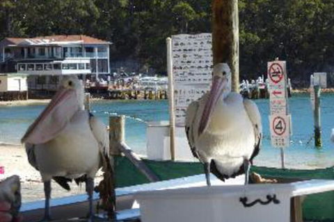 2 Bedroom Apartment Portside Unit 12 / 1 Donald Street FREE WIFI - Kawana Tourism 2