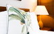 The Continental Hotel Broome - thumb 6