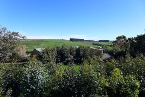Daysy Hill Country Cottages - Kawana Tourism 6