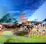 Oaks Ranch and Country Club - Kawana Tourism