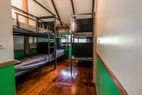Jackaroo Treehouse Mission Beach - Kawana Tourism 0