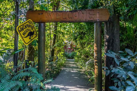 Jackaroo Treehouse Mission Beach - Kawana Tourism 1