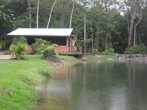 Rainforest Ranch - Kawana Tourism 0