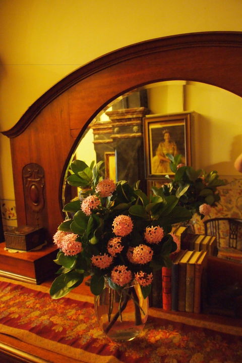 Vacy Hall Toowoomba's Grand Boutique Hotel - Kawana Tourism 6