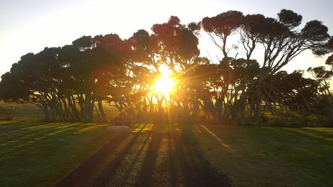 Low Head Tourist Park - Caravan Park - Kawana Tourism 1