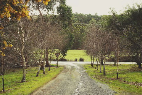 Oyster Cove Chalet - Kawana Tourism 4