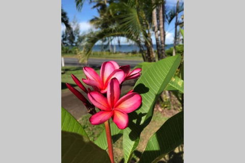 Mission Possible - Kawana Tourism 6
