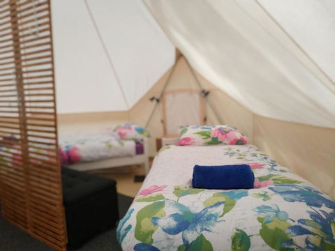 Glamping At Zeehan Bush Camp - Kawana Tourism 6