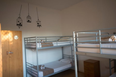Roey Backpackers & Party Bar - Kawana Tourism 6