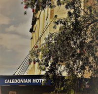 Caledonian Hotel - Kawana Tourism
