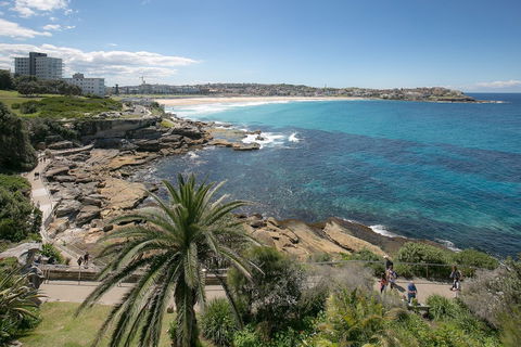 Ultimate Bondi Escape - Kawana Tourism 4