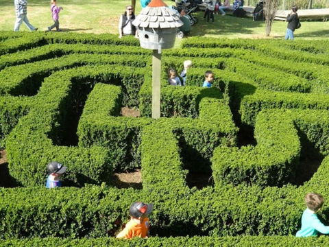 Home Near Shops & Beach - Kawana Tourism 6