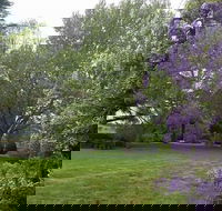 Petersons Armidale Winery  Guesthouse - Kawana Tourism