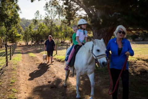 Misty Valley Country Cottages - Kawana Tourism 0