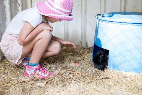 Misty Valley Country Cottages - Kawana Tourism 7